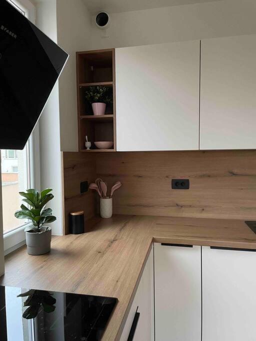 Appartement Mely Rose à Ljubljana Extérieur photo
